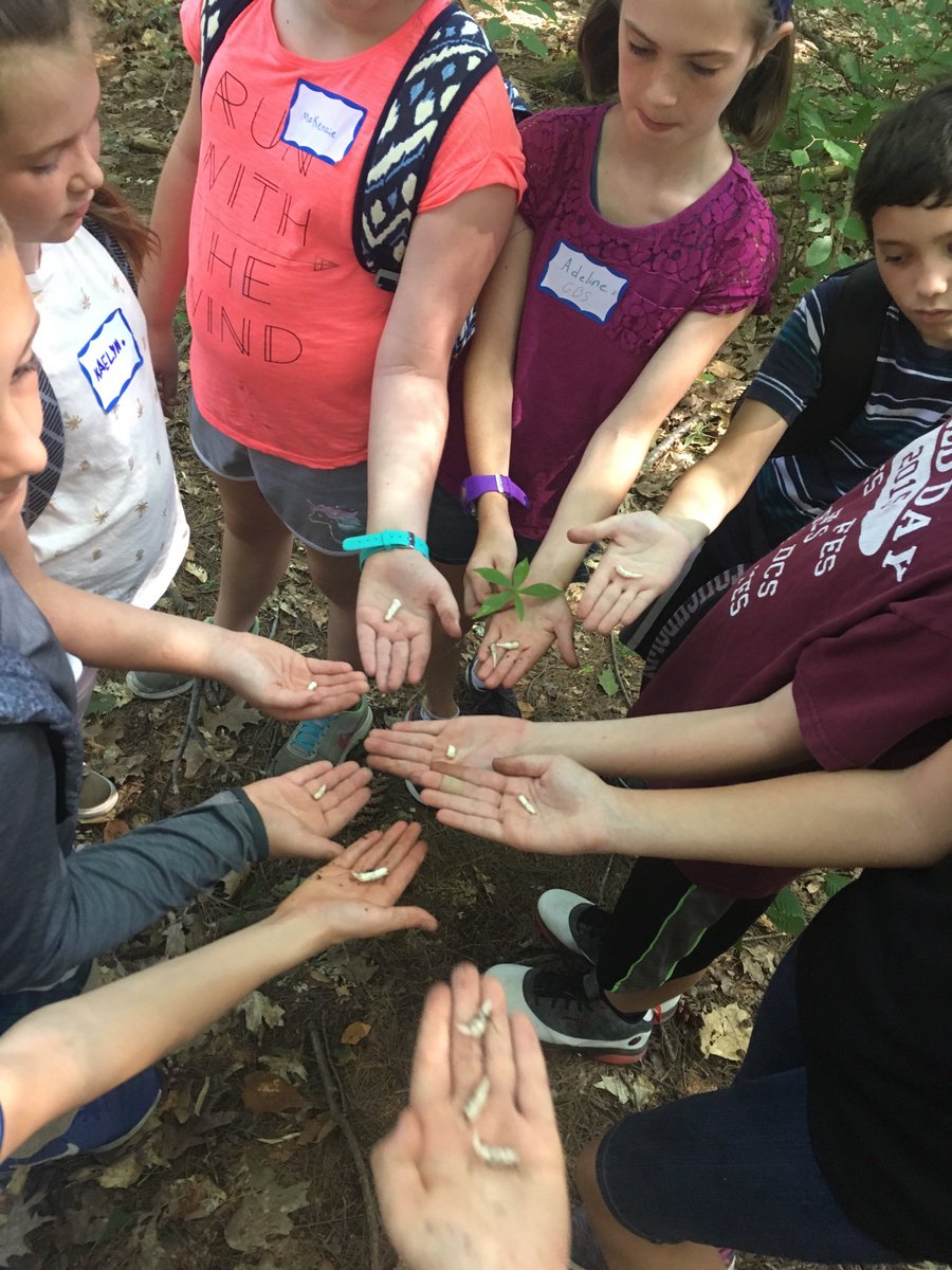 gbs_caputo's tweet photo. GBS 5th graders had an awesome time at Sargent’s Camp today! https://t.co/I8Di06OsH1