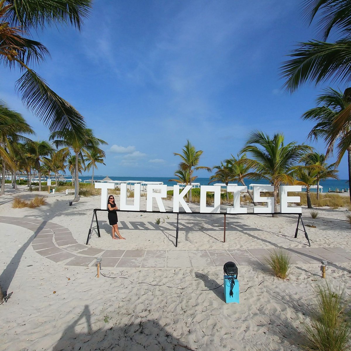 Diana's Healthy Living tweet media