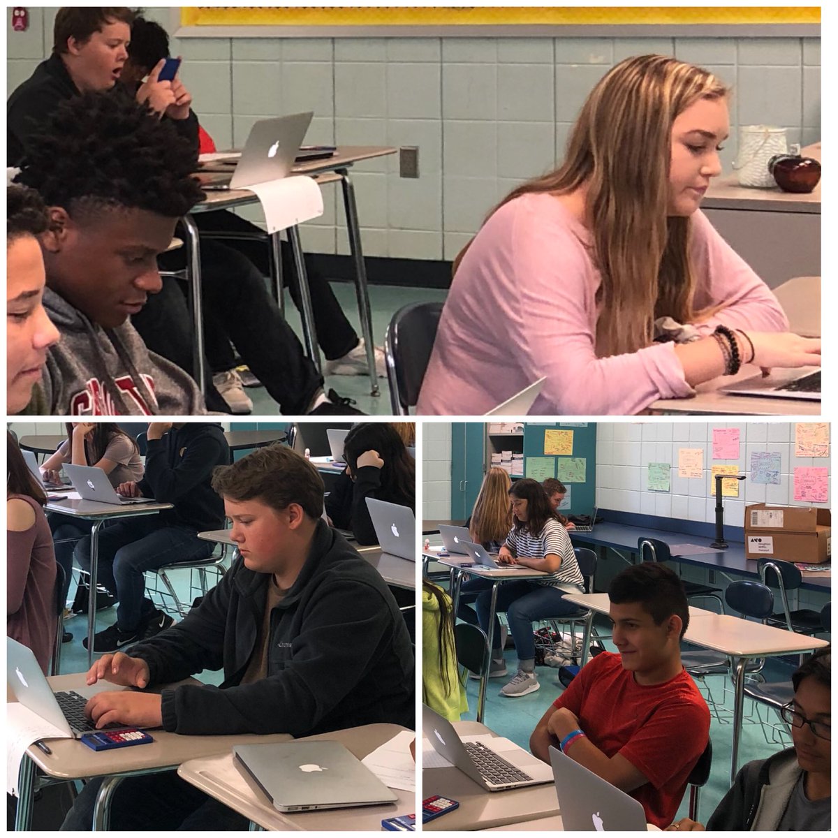 Haley Rowe tweet media