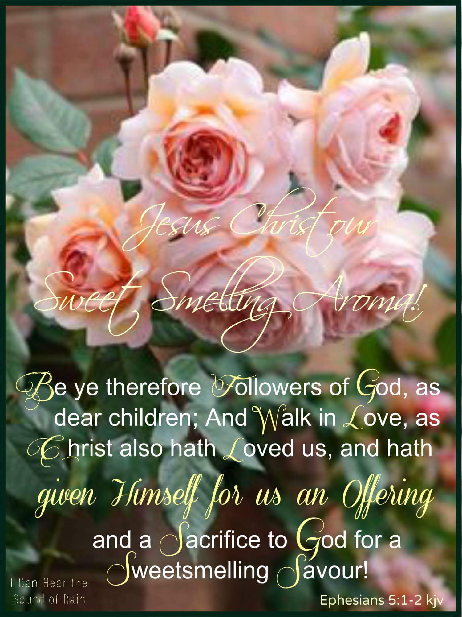 تويتر \ ❥ღ💃❤🐕ღ♥•❥•*¨*♥ على تويتر: "🌸🌹Ephesians 5:1-2 🌹🌸  🍃🌸🍃🌸🍃🌸🍃🌸🍃🌸 "Be Ye Therefore Followers Of God, As Dear Children;  And Walk In Love, As Christ Also Hath Loved Us, And Hath Given Himself