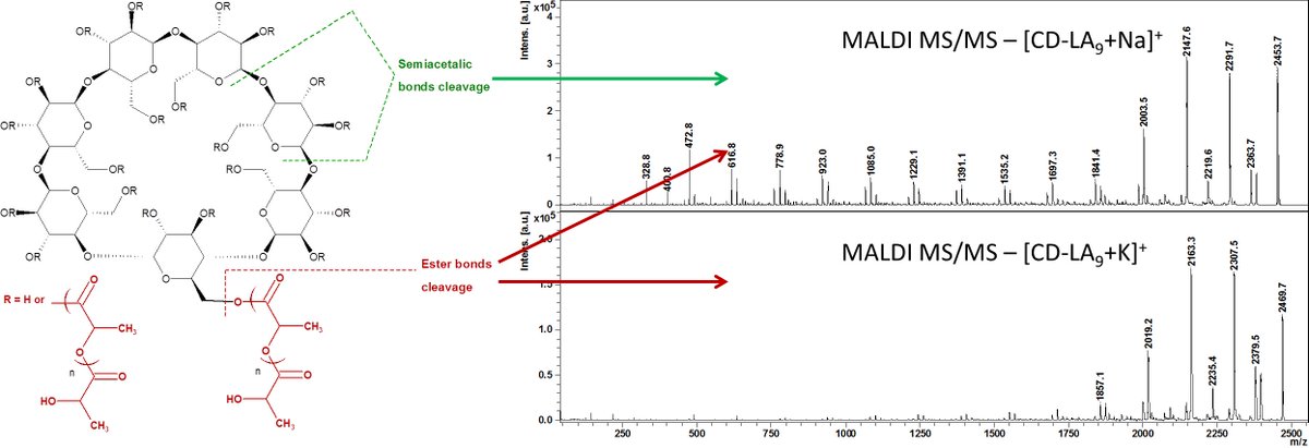 Molecules_MDPI's tweet image. #mdpimolecules Structural Architectural Features of Cyclodextrin Oligoesters Revealed by Fragmentation Mass Spectrometry Analysis mdpi.com/335628  
📌#Cyclodextrin #BiodegradablePolymers