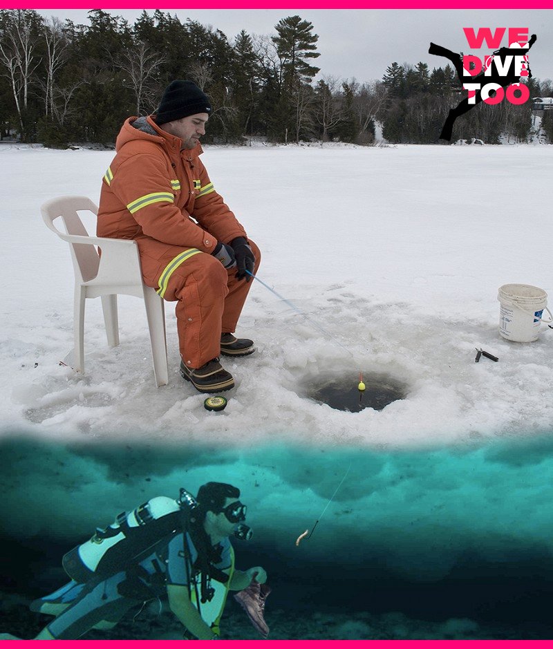 A sense of humor makes everything more fun! Also I’d love to play this trick on someone, but I’m 100% sure I’d get hooked.
#scubadiver #scubadiving #wedivetoo