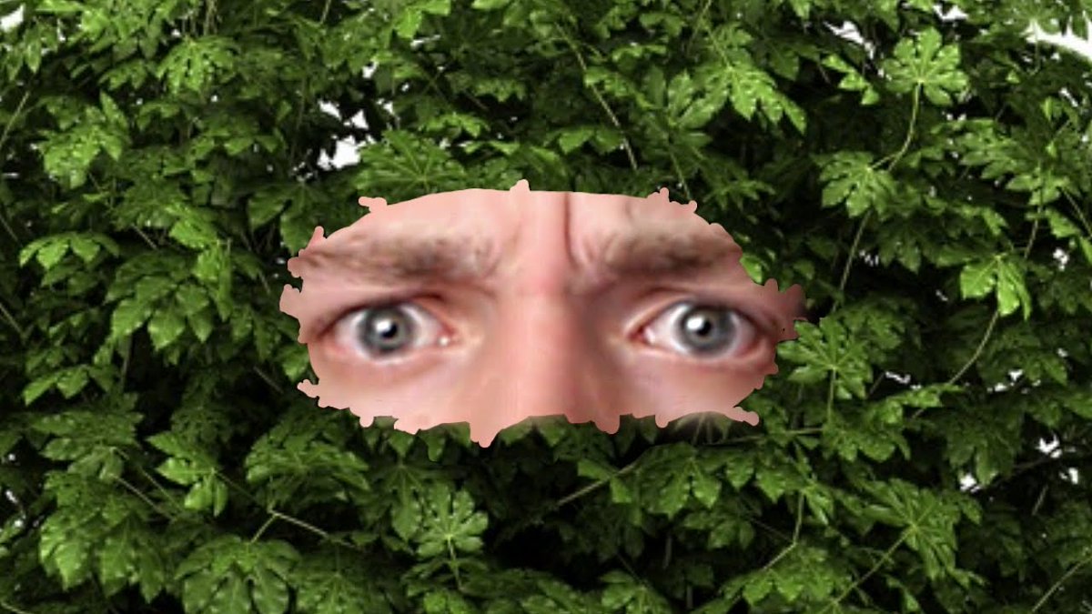 Image result for burglars using bushes