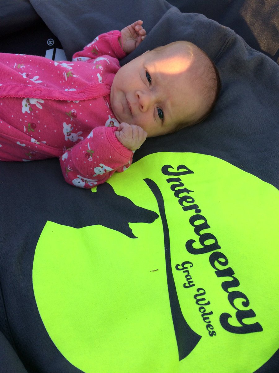 AltMath's tweet image. It's the first day of school and I'm missing my #interagencygraywolves but I have a pretty sweet reason to be sitting this one out. Hoping all my students are off to a great start!