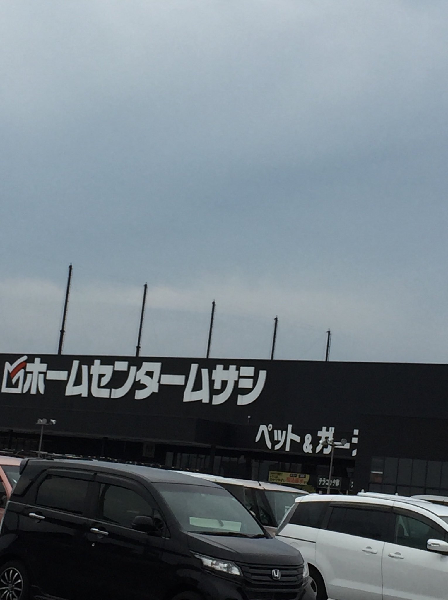 ホームセンターむさし Twitter Search Twitter