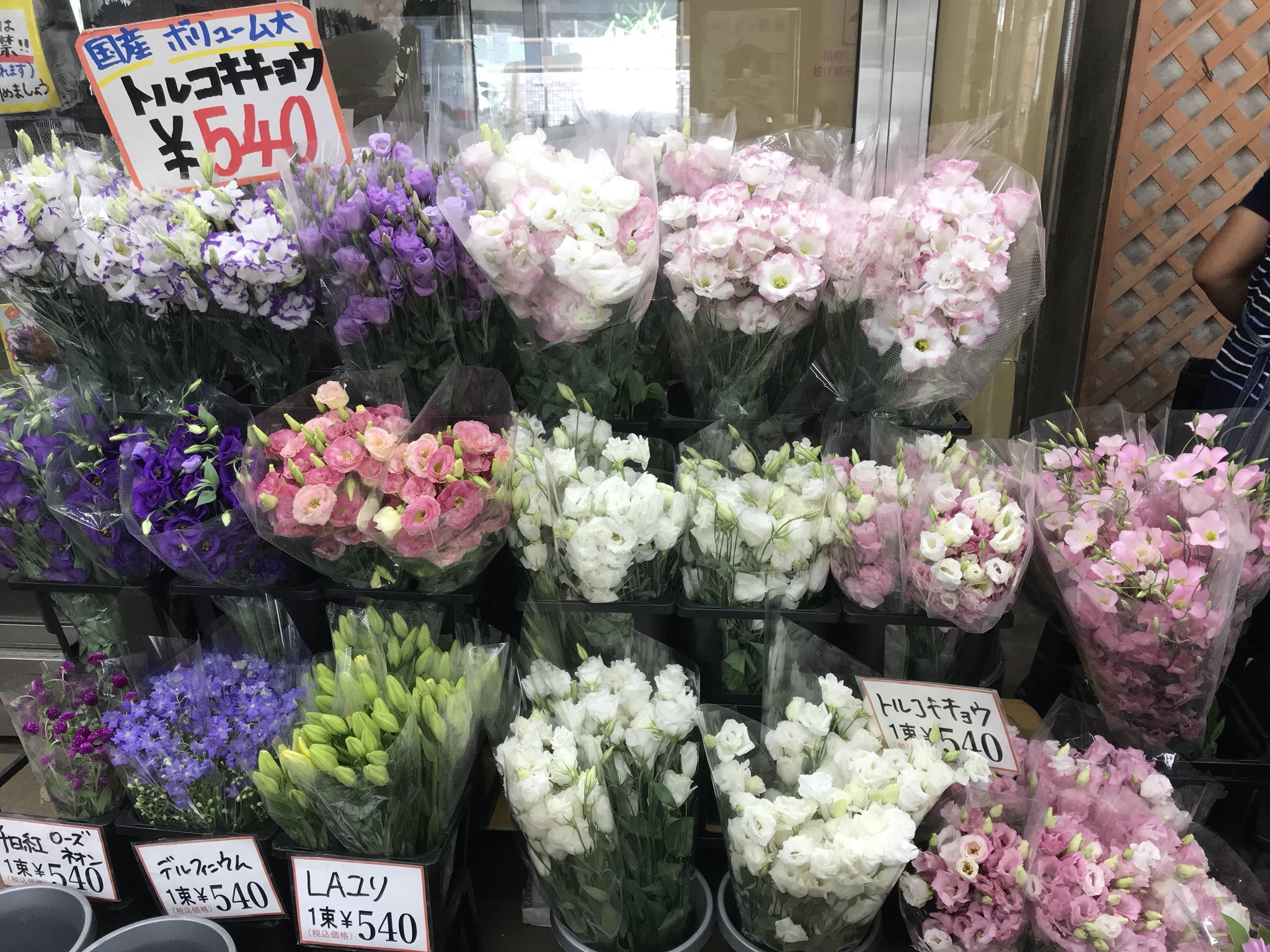 Twitter ワールドフラワー 本店 梶が谷店 على تويتر 切り花はトルコキキョウが入荷しております 淡い色味から濃い色味まで様々ございます 可憐で柔らかな印象のトルコキキョウをお部屋に飾ってみてはいかがでしょうか ˊᵕˋ その他 秋物のセロシア
