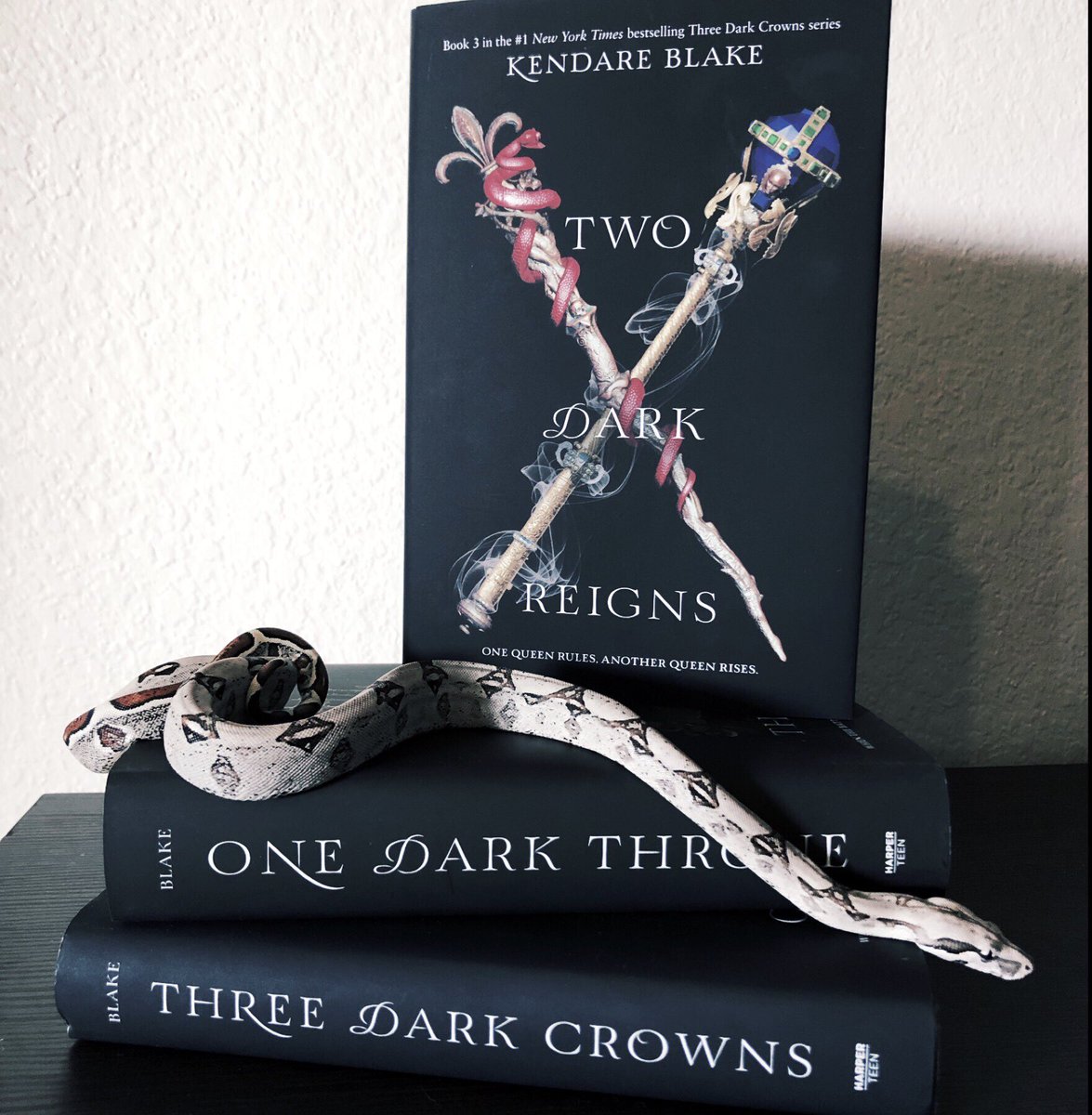 NerdyBookBook's tweet photo. @KendareBlake @EpicReads @katharinemcgee @seesarawrite 💕🐍 https://t.co/GIhxA7LY3c