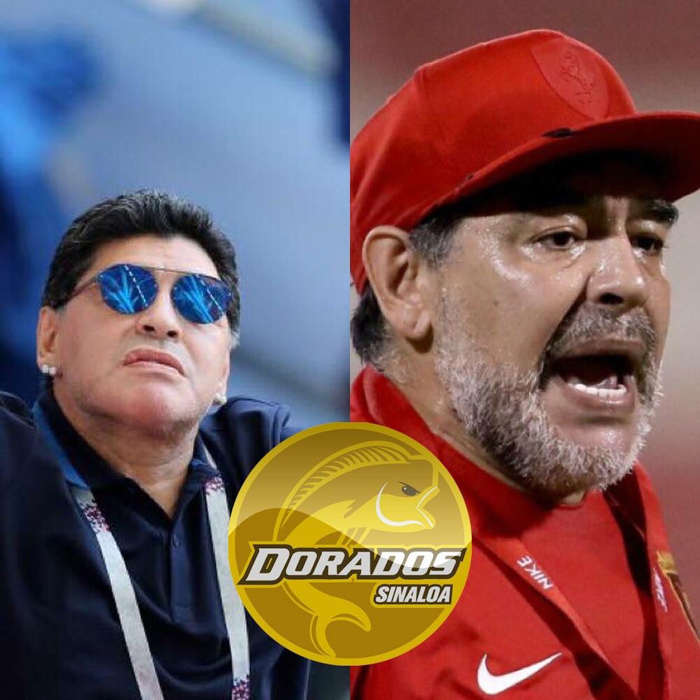 PutazoFaitelson's tweet photo. Según ESPN, Diego Armando Maradona cerca de dirigir a Dorados.

No es nada tonto, eligió la tierra del Chapo donde tendrá líneas ilimitadas, mujeres y fiesta, Rafa Márquez ya suena fuerte para su auxiliar. https://t.co/Y9k8fMIOdk