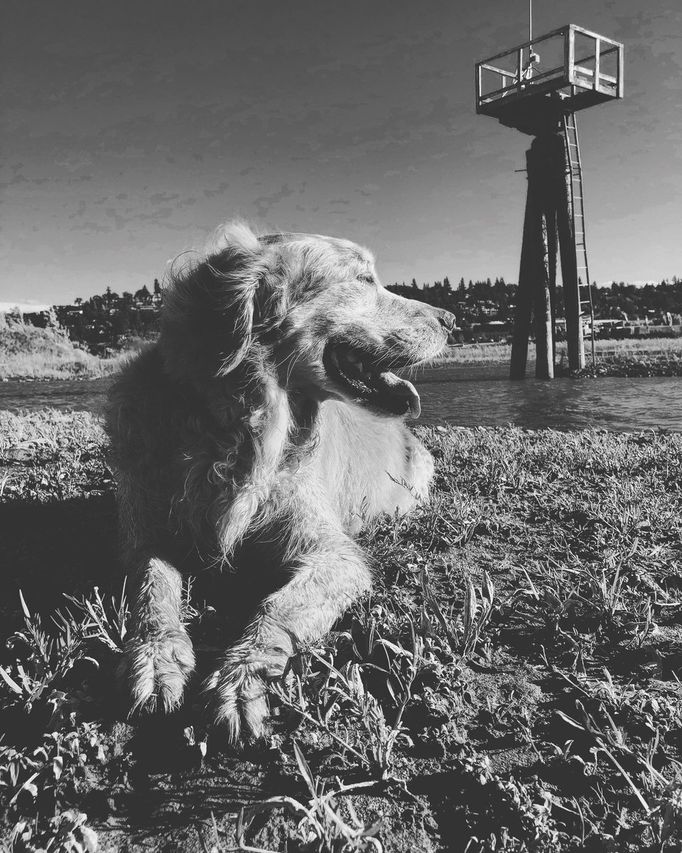 RustyRodas's tweet image. Show others they matter, because they do.