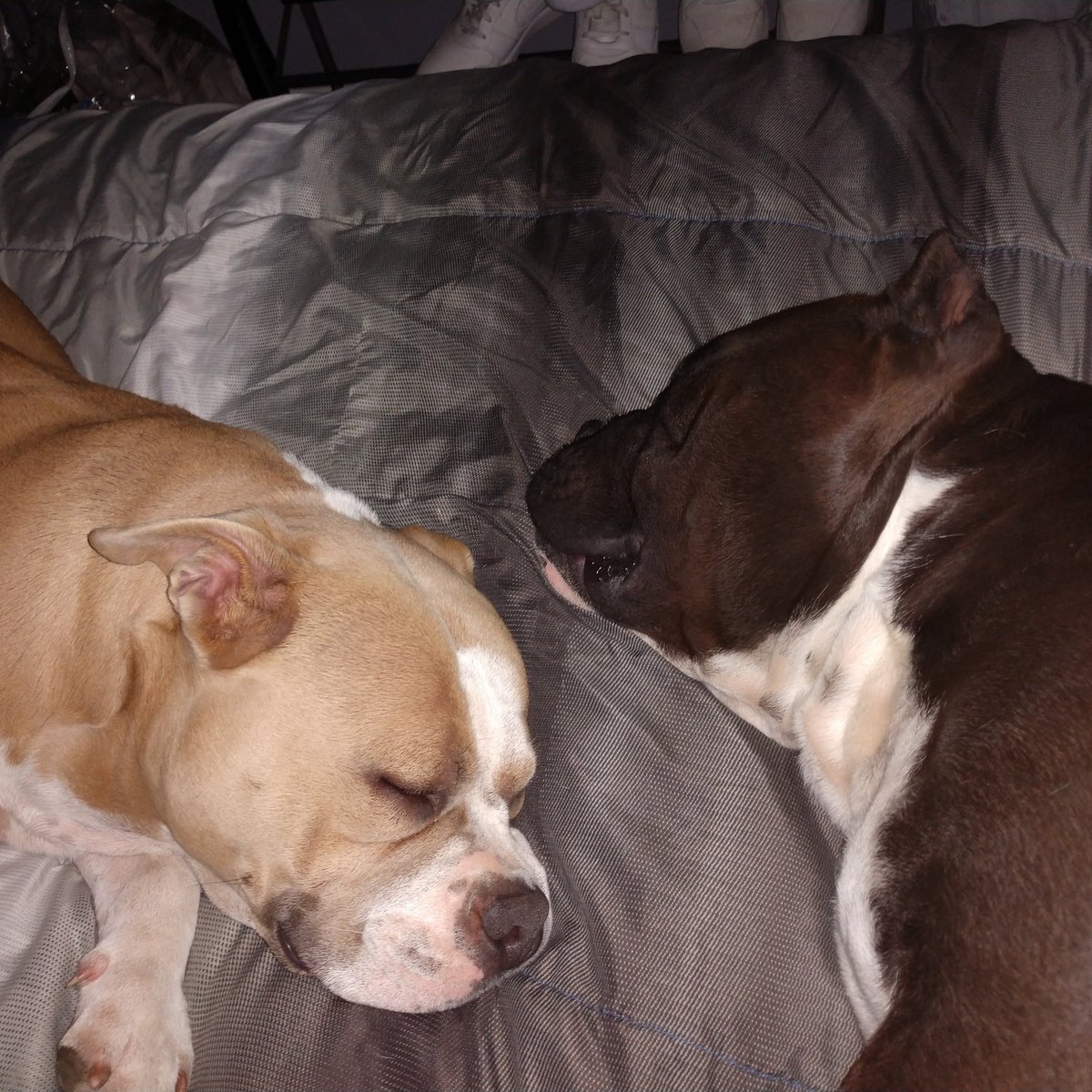 topherruby23's tweet image. Living that hard life!