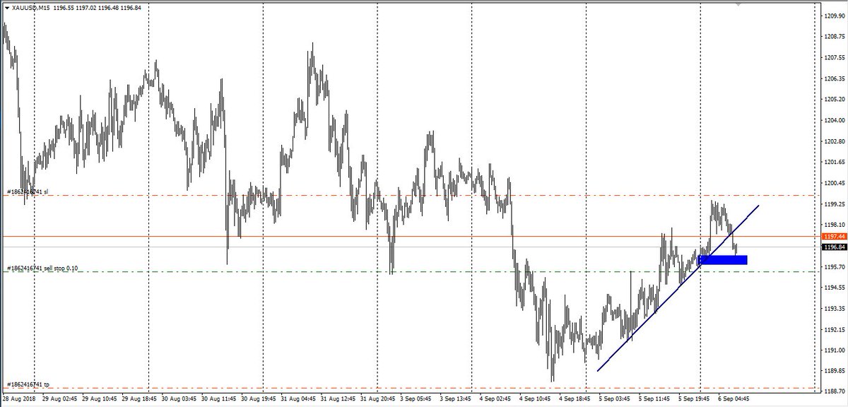 kelner pro forex kelner pro forex