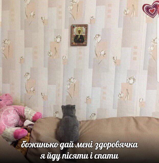 DmYyp82XoAAl9A3?format=jpg&name=small