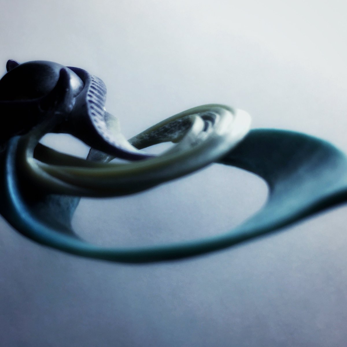 Ability_Normal's tweet image. #waxcarving #waxmodel #making #silverjewelry #jwellery #oneofakind