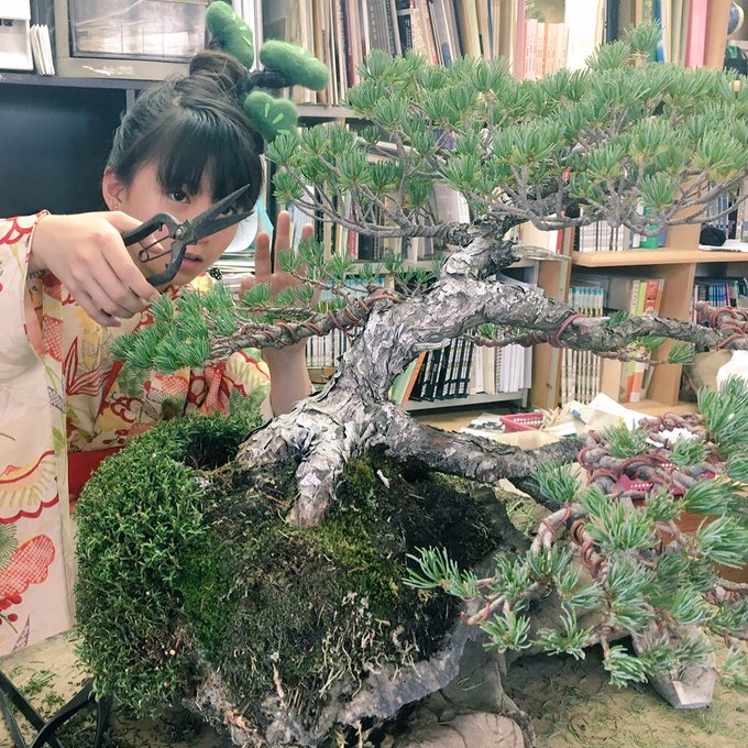 Twitterのコスプレ画像14