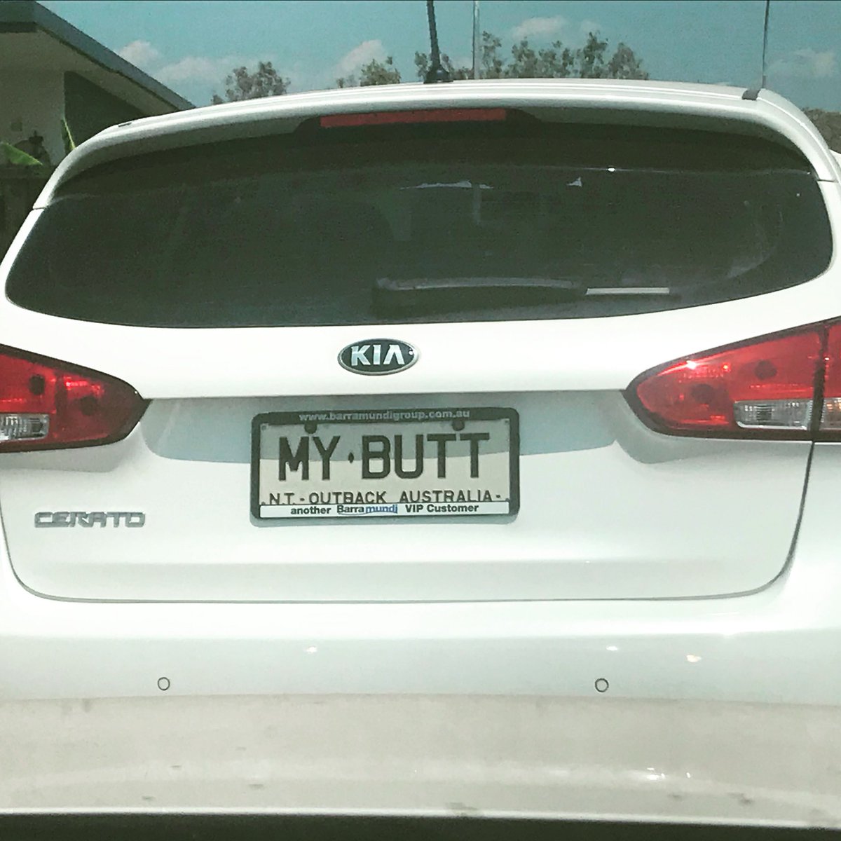 You, an intellectual: