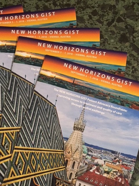 sarcomapatients's tweet photo. We are all set up and ready to go: NEW HORIZONS GIST is starting now and Vienna is welcoming us with beautiful sunshine!
We are looking forward two days of learing, exchange, discussion and a good time with friends!
#GIST #NHGIST #NewHorizons #education #advocacy https://t.co/7341yLR8mf