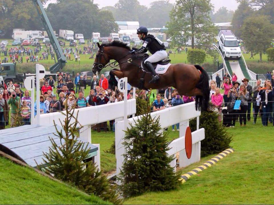 So apparently 4 years ago today I took this pretty awesome pic of <a href="/BenHobday/">Ben Hobday</a> &amp; <a href="/Mr_Mulry/">Mulrys Error</a> 🏇❤ safe to say it went pretty far....😎