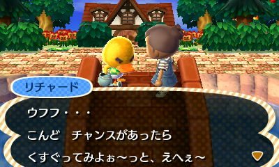 じゅん Auf Twitter 今日のリチャード3 企む顔も可愛い M とび森 どうぶつの森 Animalcrossing Acnl T Co 0uiiejlbld Twitter