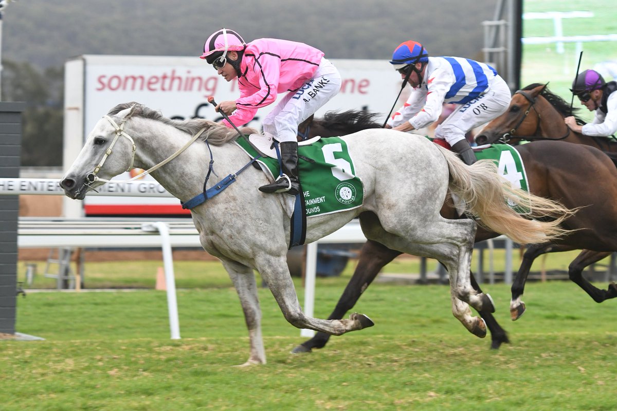 gosford_races's tweet photo. A race to race double for Warwick Farm trainer Gary Nickson &amp; his jockey Andrew Banks as MANDALONG TAPIT finishes strongly to win race 7

📸 Steve Hart https://t.co/x5sTmKR4fC