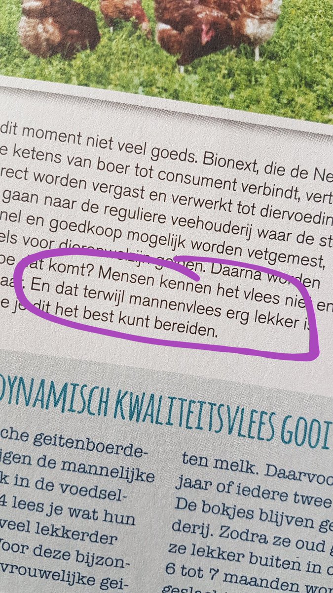sterestherster's tweet photo. Helemaal mee eens hoor @Ekoplaza 😂😂 #mannenvlees https://t.co/R5NhnBEiw1