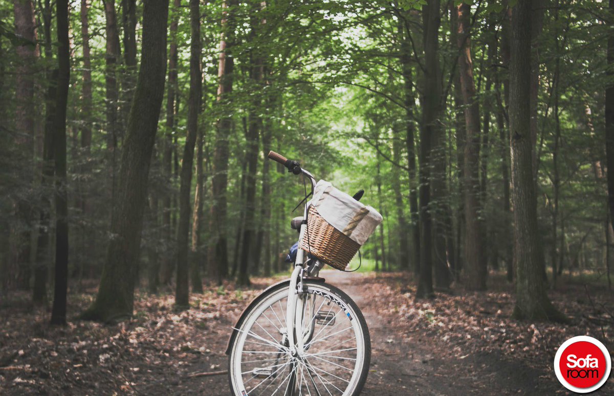 Mutlu Sabahlar...
sofaroom.com
#gün #sabah #günaydın #goodmorning #mutlu #happy #keyifli #günler #doğa #nature #bisiklet #ağaç #tree #çiçek #flower #