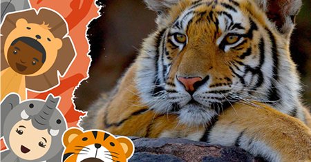 DSWFWildlife's tweet photo. Welcome back teachers to the Autumn term! Looking for inspiration to get the children involved in *Charity* and *Conservation*? Run Wild with us; PLAY and FUNDRAISE to protect endangered species. SIGN UP NOW! Let’s Run Wild - https://t.co/cbgSlvivna https://t.co/iepdaByXZM
