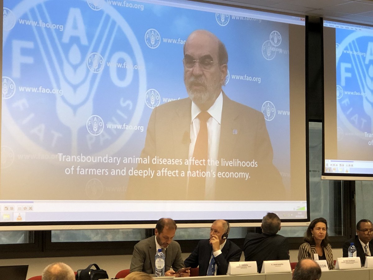 “Transboundary animal diseases cannot be eliminated without the political will of governments and the participation of farmers, veterinarians and research investment” video message of #UNFAO @grazianodasilva at #DGSANTE @EU_Health event this morning in #Brussels