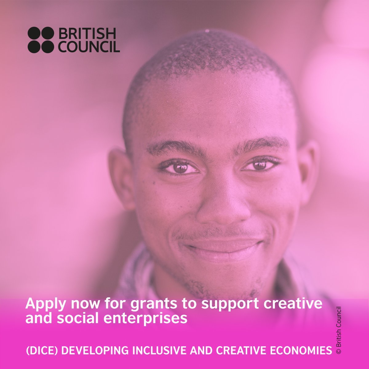 Image result for british council DICE