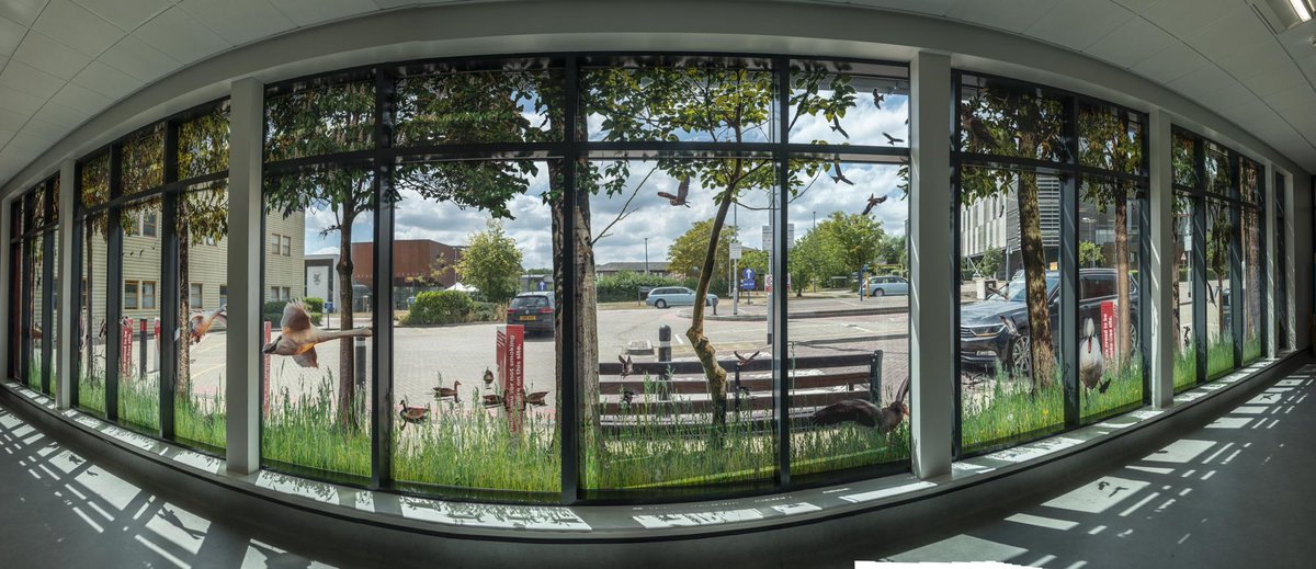 formatgraphics's tweet image. Proud to produce such a fantastic graphic for MK Hospital, working with artists "Boyd &amp;amp; Evans". We have produced and installed this 3 layer print onto opti clear SAV with stunning visual effect. Also installed is the beautiful wallpaper bringing the "inside out" theme to life.