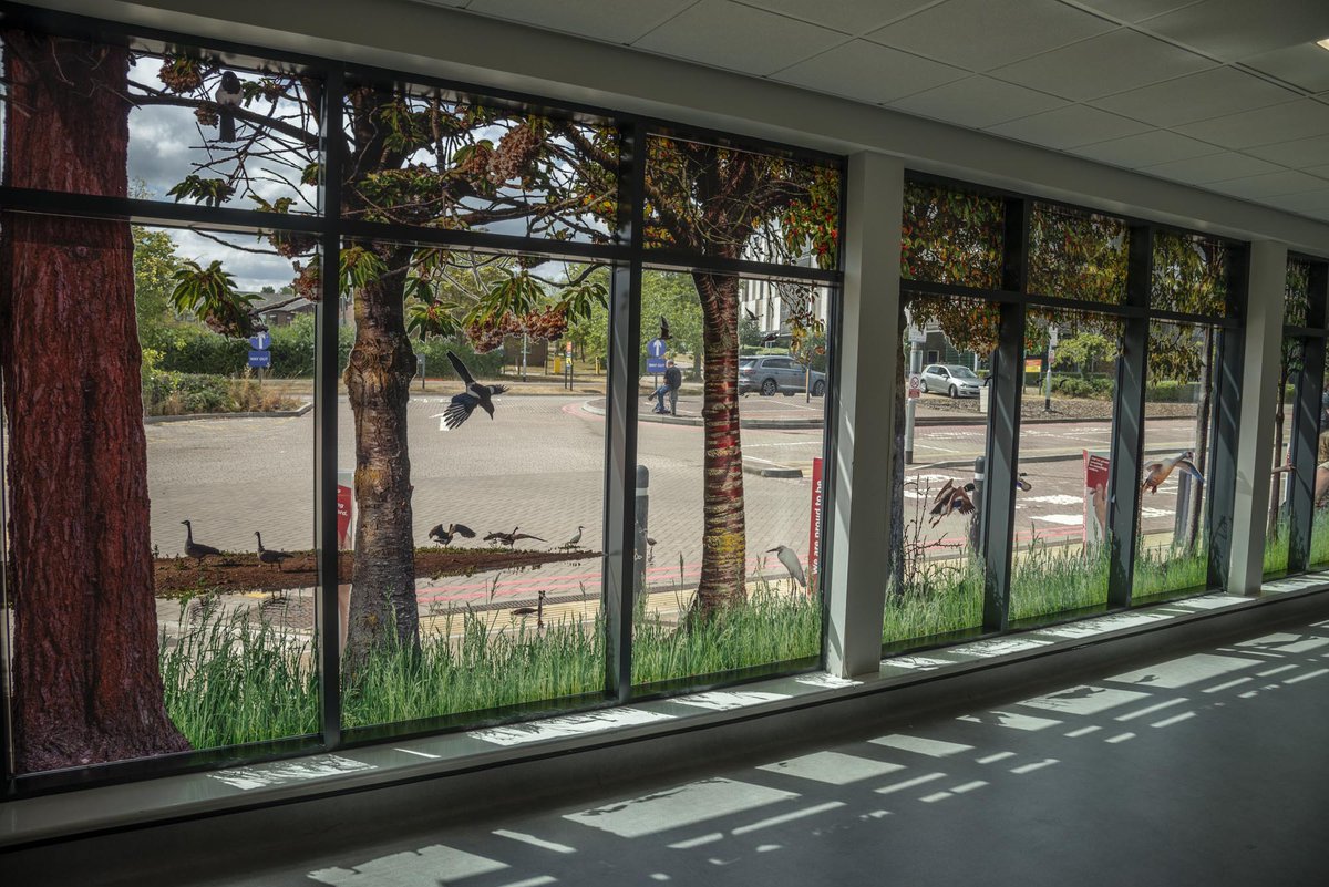 formatgraphics's tweet image. Proud to produce such a fantastic graphic for MK Hospital, working with artists "Boyd &amp;amp; Evans". We have produced and installed this 3 layer print onto opti clear SAV with stunning visual effect. Also installed is the beautiful wallpaper bringing the "inside out" theme to life.