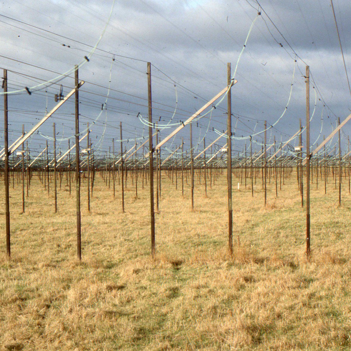 Dame Jocelyn Bell Burnell, the pioneering British astrophysicist, has been awarded a special Breakthrough Prize in fundamental physics for her celebrated discovery of pulsars and her inspirational leadership within the scientific community: po.st/i2lAGY
