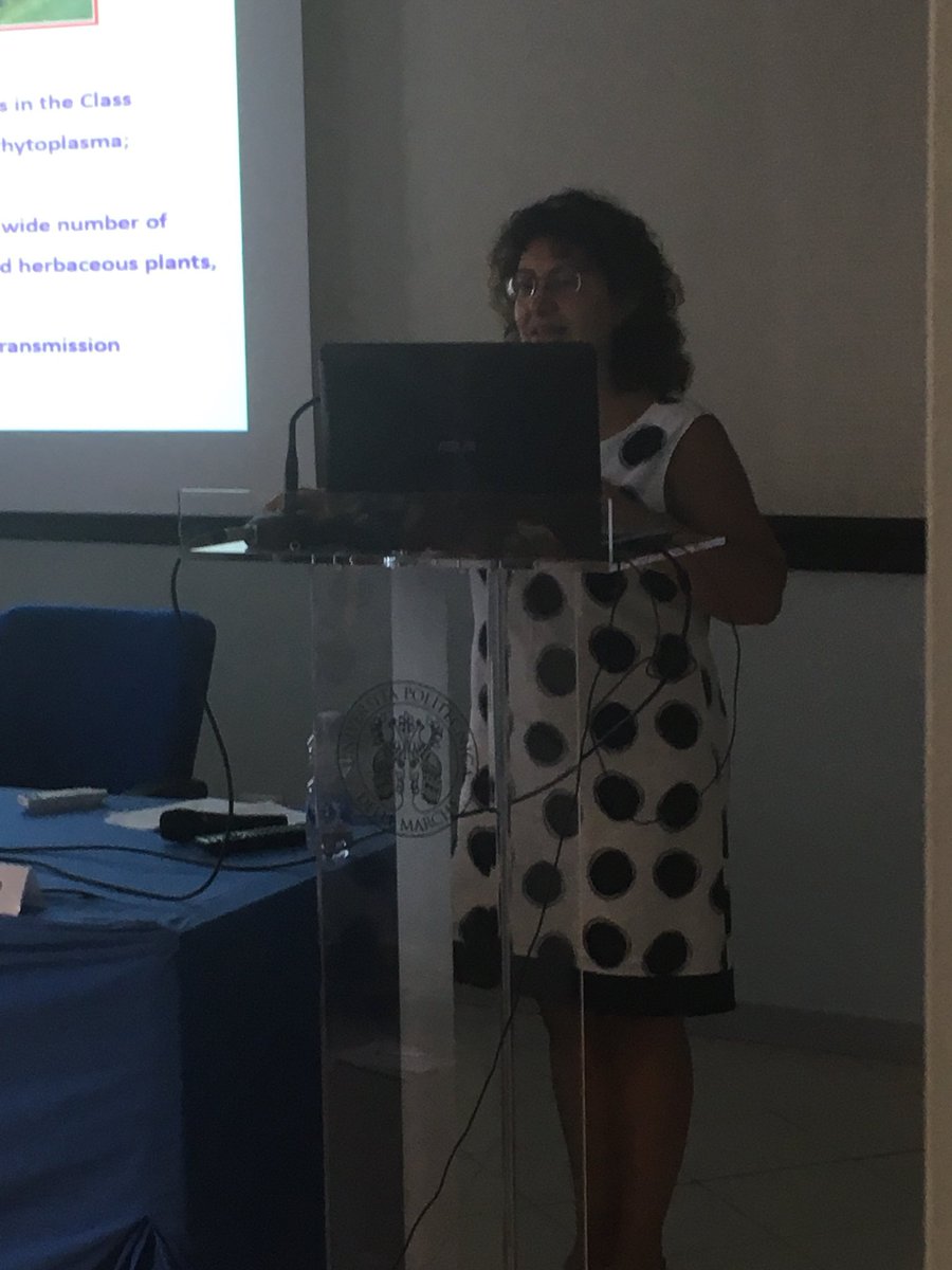 SIPaV1992's tweet photo. Gravepine Flavescence dorée in Europe. Last talk of the joint session @SIPaV1992 @plantdisease at #SIPAV2018 by Sabrina Palmano https://t.co/WbH7F7gIxS