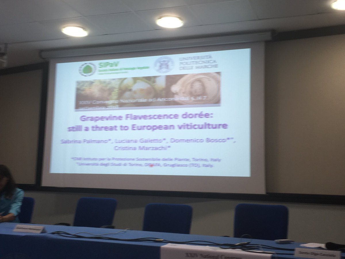 SIPaV1992's tweet photo. Gravepine Flavescence dorée in Europe. Last talk of the joint session @SIPaV1992 @plantdisease at #SIPAV2018 by Sabrina Palmano https://t.co/WbH7F7gIxS