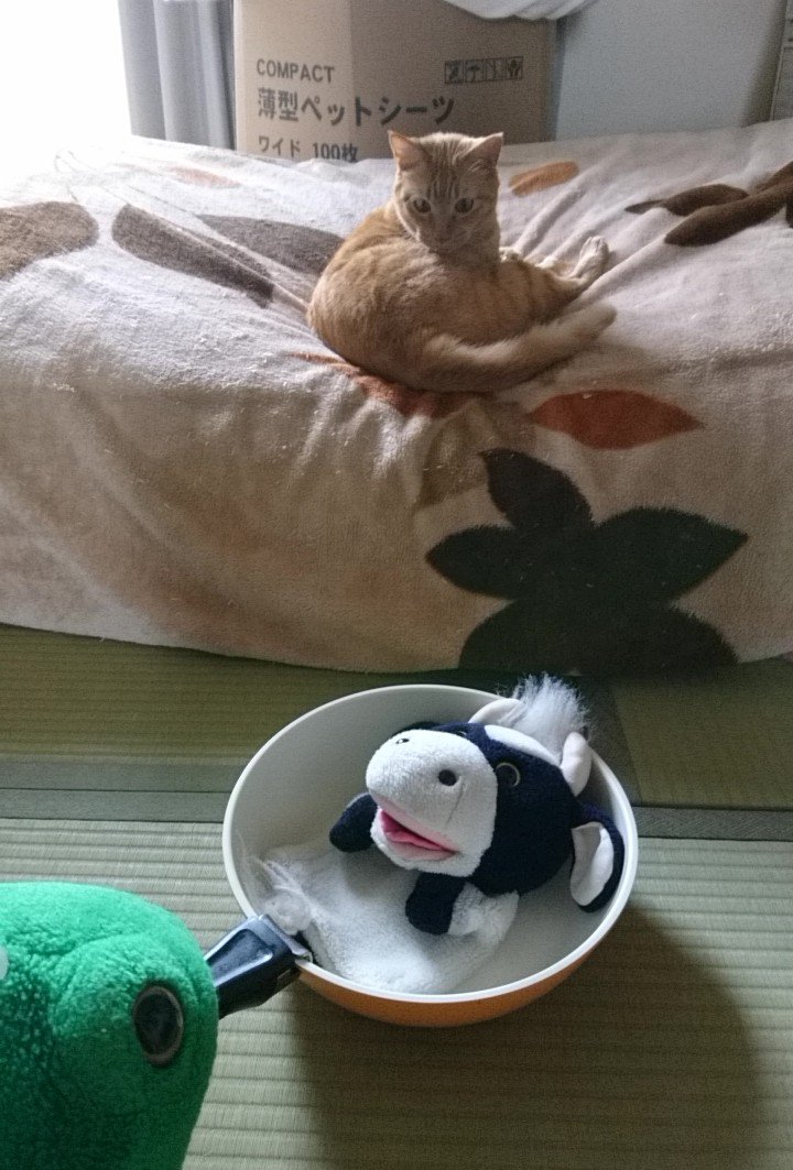 お笑い芸人 パペットマペットさんの うしくん カエルくん は今年で歳 Togetter お笑い芸人 パペットマペットさんの うしくん カエルくん は今年で歳 Togetter