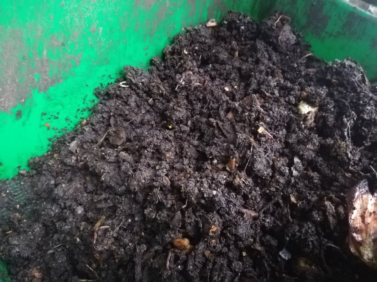 SEMENTES INFORMATIVAS!!! Imaxes das  visitas de onte do programa #CompostDaCasa. Este mes de setembro, faremos a 4ª visita ás 50 familias deste proxecto piloto do Concello de <a href="/AsPontes/">AsPontes</a> e #Sogama, e recolleremos mostras para realizar análises de pH, relación C-N... 🐛🐛 @EASogama