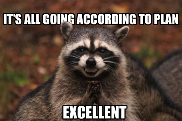 Events_Raccoon's tweet photo. After what has been a great summer, the Raccoon’s are well and truly rested and ready for a busy couple of months ahead. There has been lots happening here at Raccoon HQ which we can’t wait to share with you....!  #watchthisspace #eventprofs #raccoonsontour #theeventsraccoon https://t.co/MnIAcrQjKp