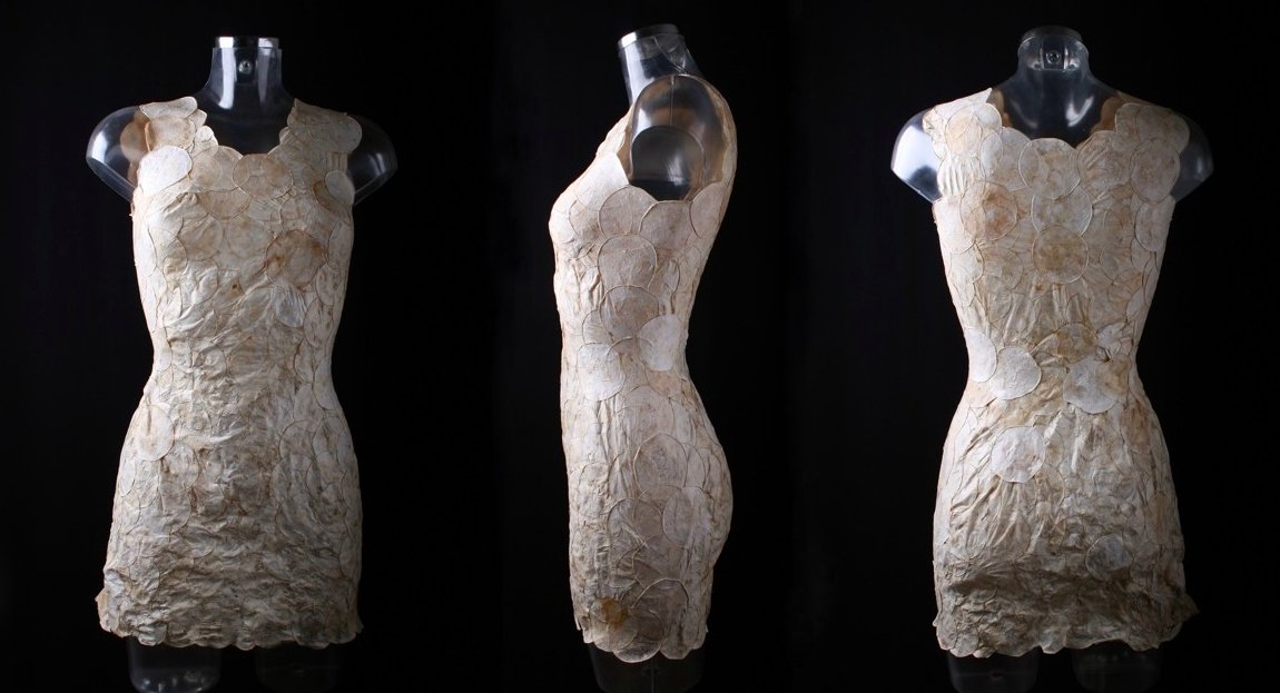 BlueCity010's tweet photo. BIG NEWS: Aniela Hoitink, founder @neffa_nl, speaks at #BioDesignNight, 21st at #BlueCity010! She just won the #GlobalChangeAwards by @hmfoundation for clothing made of mushrooms. Come meet, greet & learn!
TICKET: https://t.co/gCdT11NfN0 - only €5,-
#slowfashion #biodesign https://t.co/oo0wHLssfb