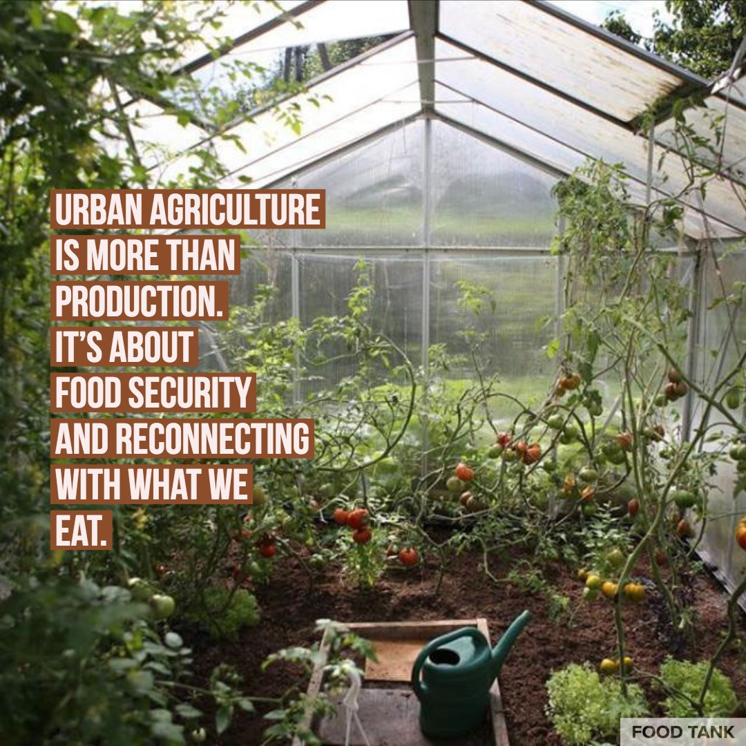 foodtank's tweet photo. Urban agriculture is more than production. It's about food security and reconnecting with what we eat (via @FAO) https://t.co/LLe2SqmrMn