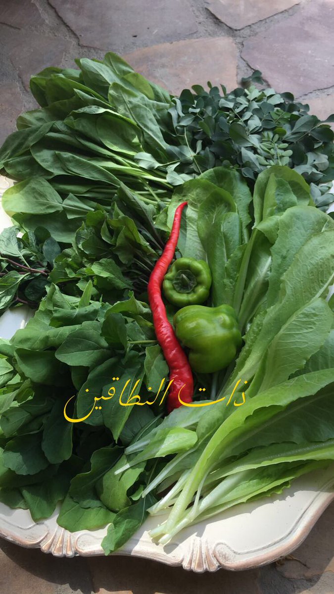 ذات النطاقين / إسراء الشعبي tweet media