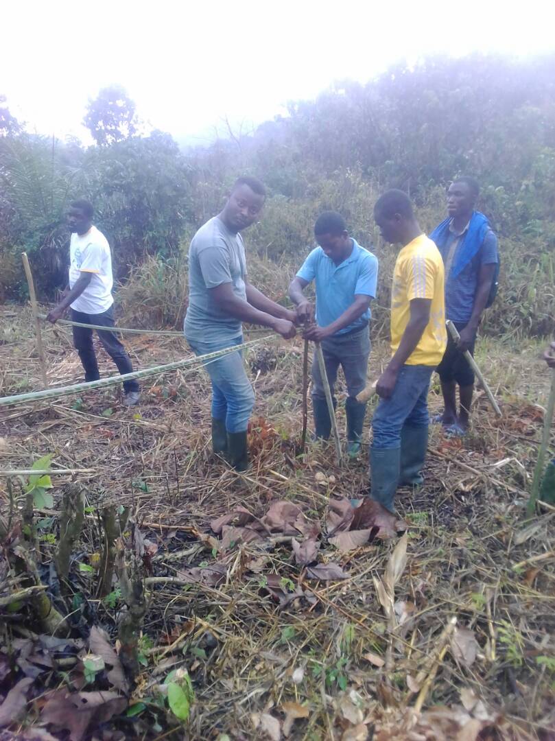 NoukalaK's tweet photo. Formation Pratique sur le Piquétage et la Trouaison avec #AJEF_Togo dans le canton d'Ahlon (Bogo). @TchodieFidel @KwakuNobo @123simon3 @SoouEliza @TMislem https://t.co/3jbyM0TNFY