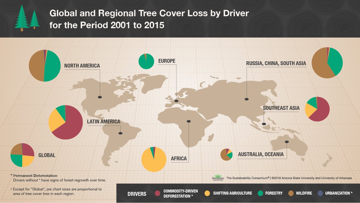 Forestry Tree Chart