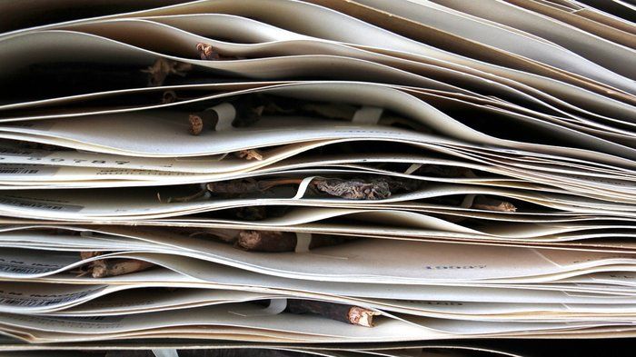 PODCAST: Centuries-Old Plant Collection Now Online — A Treasure Trove For Researchers

For centuries, explorers, scientists, and amateur botanists scoured the country to document and preserve plant species. buff.ly/2CKAc7B