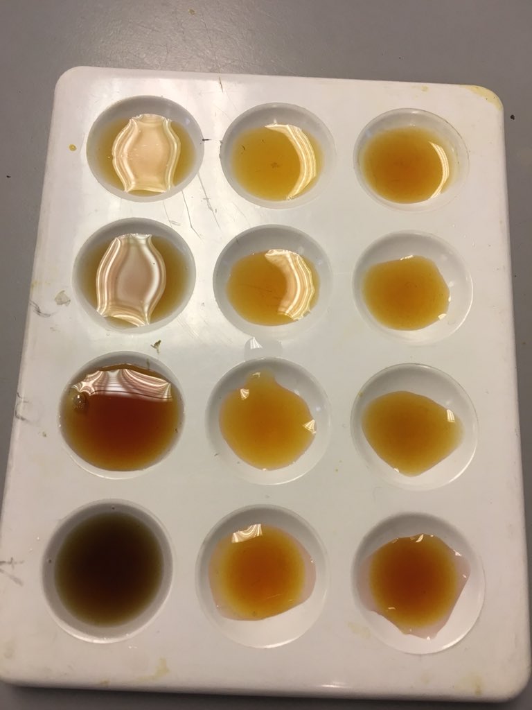 science_bbhs's tweet image. N5 Biologists investigating the action of phosphorylase... #experimentalsuccess #efficientworking