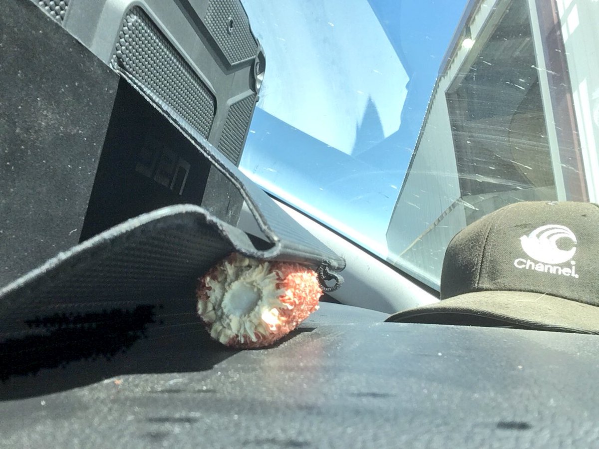 djlerwick's tweet image. When you’re waiting at the scale for the first truck of a @ChannelSeed silage plot and the @Rockies are live-streaming the game but your iPad angle needs adjusted. #Rocktember #AgEngineering