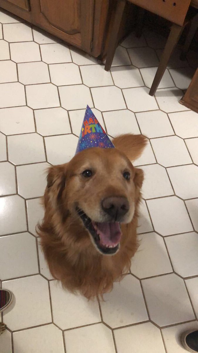 Rachel Tourangeau tweet media