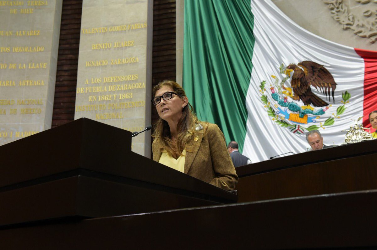 diputadospan's tweet photo. #6toInforme Los programas de @SAGARPA_mx en los últimos 5 años, presentan irregularidades o conductas ilícitas en la aplicación de subsidios #PRINoSabeGobernar: @AngelesAyalaD https://t.co/nQ2pKaS81t