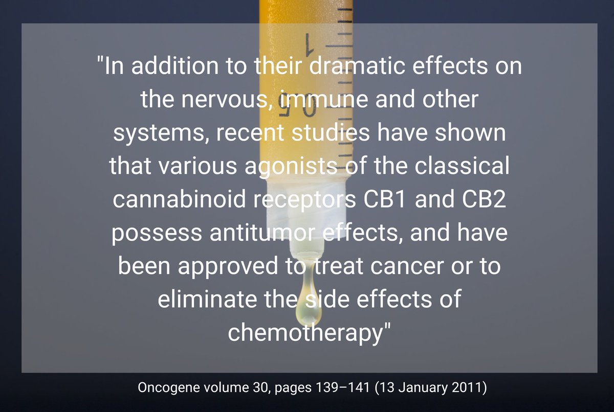 PinnacleHemp's tweet photo. https://t.co/7NClnNNaeQ