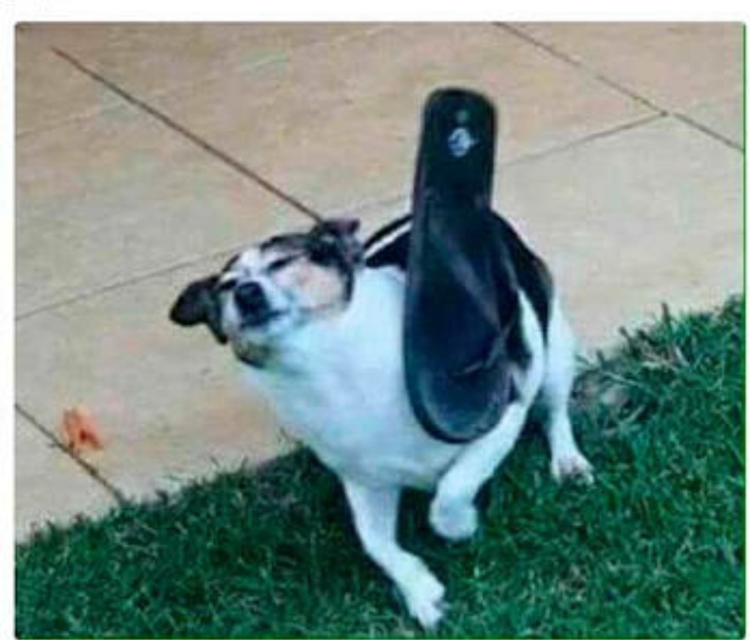 _DonJuarez's tweet photo. #FelizJueves #TodoMexicano conoce el poder de una chancla bien dirigida #JuevesDeGanarSeguidores https://t.co/CZ6XYZTlW1