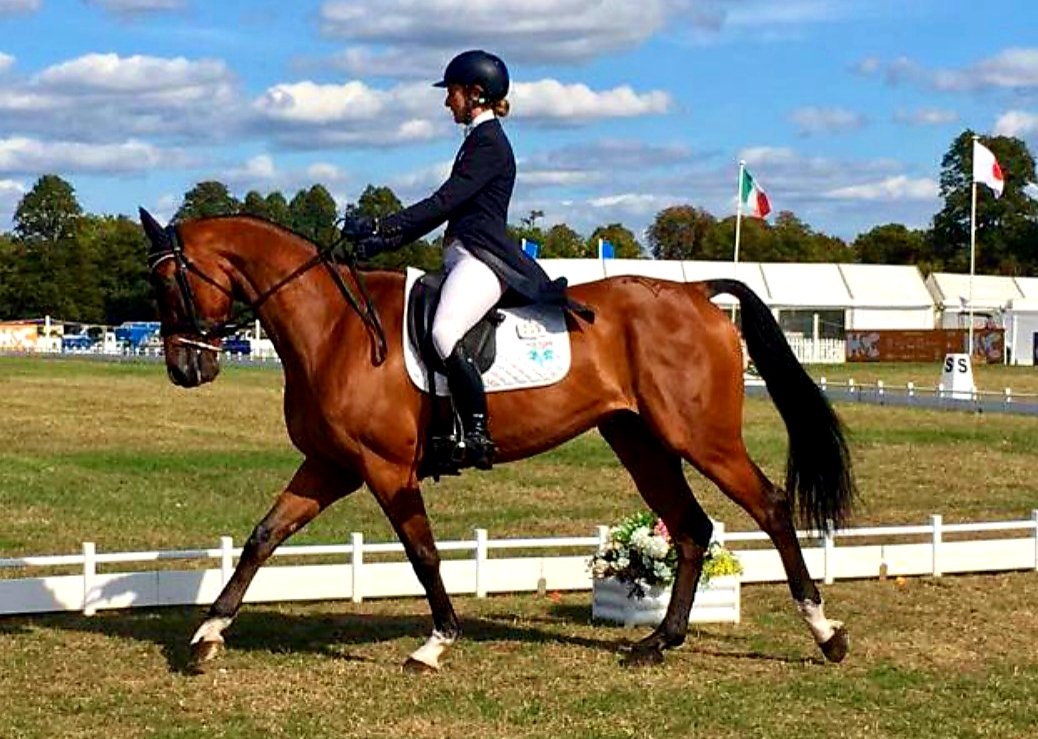 Beautiful <a href="/BlenheimHorse/">Blenheim Palace International Horse Trials</a> Fabian does a lovely test in the 8/9yr old CIC*** #SYBlenheim 💙 #happyteam