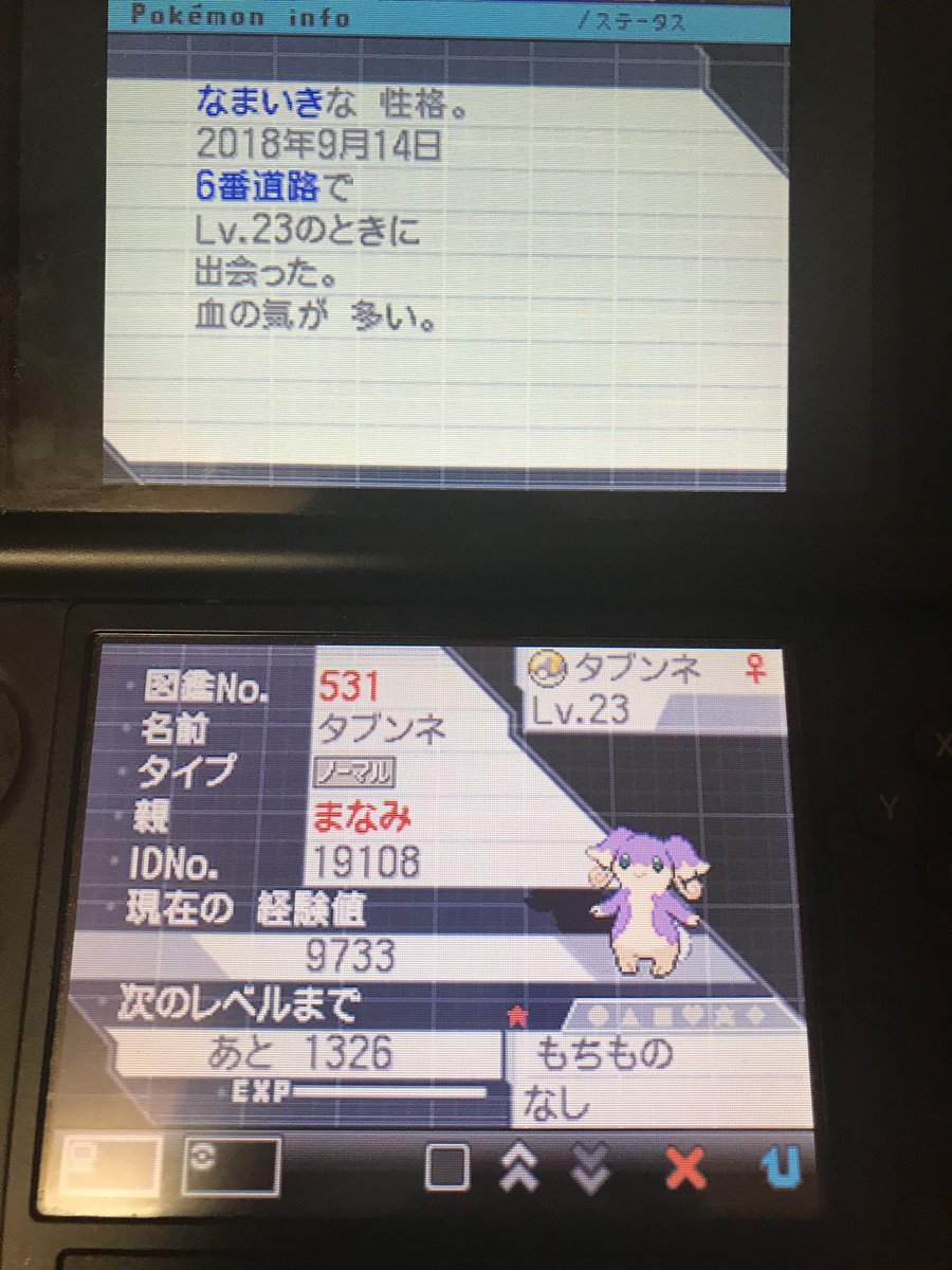 樹神 デイリーの かくしあな 巡ってたら ゆれる草 を発見 なんと タブンネ の 色違い でした ポケモンbw2 ポケモンブラック2